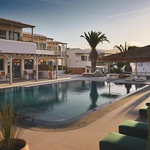 anemoessa-mykonos.hotels-in-mykonosisland.net/